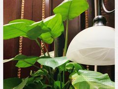 -1492雪茄威士忌俱乐部(明宇金融广场店)