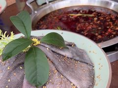 -巴倒烫陆派火锅山庄(南山总店)