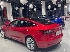 -TESLA 特斯拉(深圳观澜特斯拉直营钣喷中心)