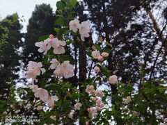 -赭山公园