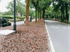 -良渚君澜度假酒店·中餐厅