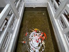 -鲤院·新中式美学·庭院餐厅(夫子庙店)