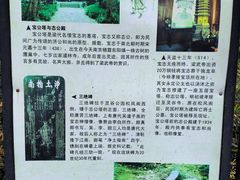 -灵谷景区
