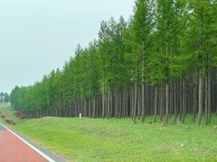 -御道口草原森林风景区