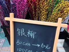 -溪岸路花鸟市场
