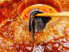 -符淼淼火锅(宽窄巷子店)