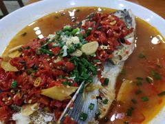 -全乐鱼馆·淳牌有机鱼直营店