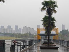 -白塘生态植物园