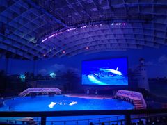 -海合安武汉极地海洋公园
