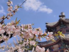 -颐和园