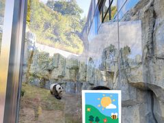 -泉州海丝野生动物世界