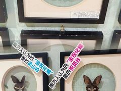 -深圳龙华星河COCO City(民治店)