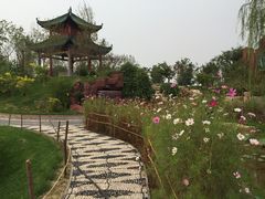 -武清南湖绿博园