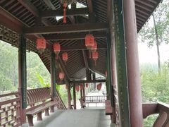 -合肥滨湖国家森林公园