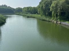 -大兴滨河森林公园