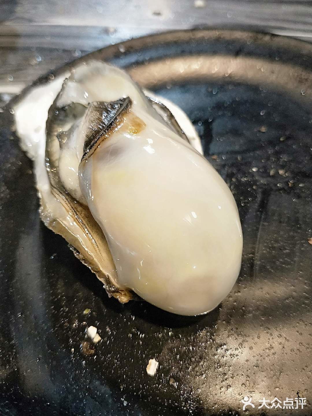 老食龍的美味時光