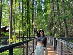 -黄海国家森林公园