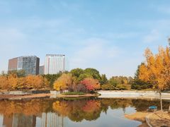 -大望京公园