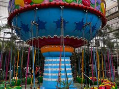 -南宫五洲植物乐园