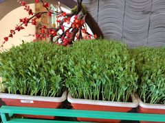 -上地宴·中关村的会客厅(清河高铁站店)