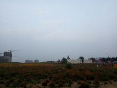 -丁香湖公园