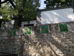 -北京鹫峰国家森林公园