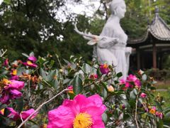 -深圳国际园林花卉博览园