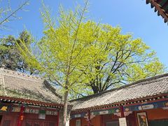 -少华山国家森林公园
