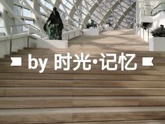 -凤凰中心