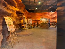 -酷嗒动物文化乐园(cutezoo西溪乐天城店)