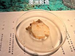 -風料理.鮨Omakase