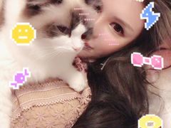 -Bastet sally猫舍购宠(静安店)