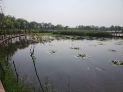 -绿堤公园