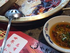 -小龙坎火锅(东汇城店)