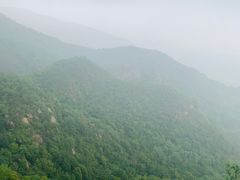 -阳台山自然风景区