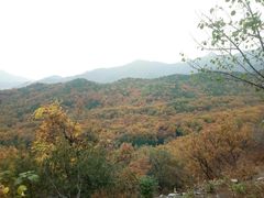 -北京鹫峰国家森林公园