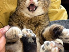 -九寨沟石锅鱼(沣峪口店)