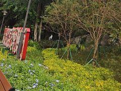 -东望洋炮台东望洋灯塔