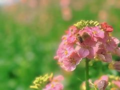 -中国天府农业博览园