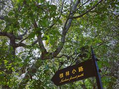 -北京张裕爱斐堡酒庄