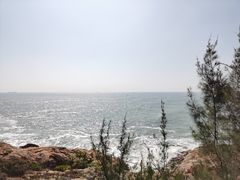 -广东惠东海龟国家级自然保护区