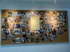 -翊宠yipet猫狗购宠庄园犬舍•猫舍