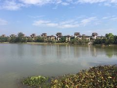 -美的鹭湖森林度假区