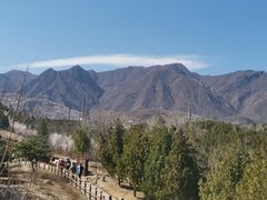 -白水寺森林公园