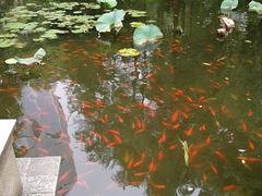 -三品香·江浙菜(松江九谊店)