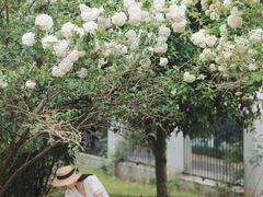-堤角公园