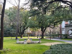 -叶叶菩提·晋福宫