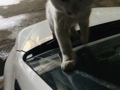 -蟹之国·精品蟹料理(极地店)