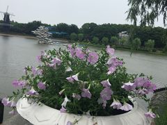 -上海鲜花港