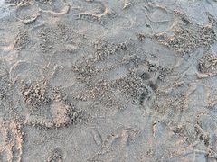 -碧海金沙